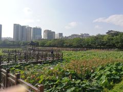-南宁南湖公园