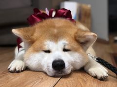 -YCHL Studios健身工作室(市二宫店)