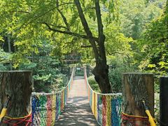 -宁波五龙潭景区