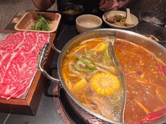 -季季山•云南野生菌火锅(上海首店)
