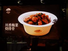 -峨嵋酒家 南北川菜 优选烤鸭(广渠路店)
