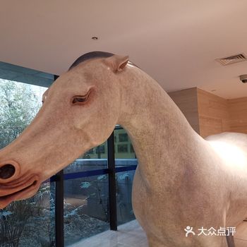 镇院之宝没见到，难忘脸部提拉的大马儿