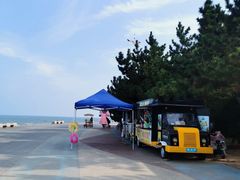 -日照海滨国家森林公园