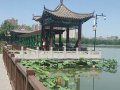-莲花池公园