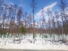 -北极村旅游风景区