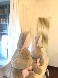 -美肤盾祛痘·问题肌头疗管理中心