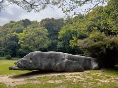 -上海吴淞炮台湾国家湿地公园
