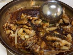 -源港渔村-中山脆肉鲩(博罗店)