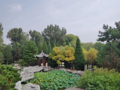 -晋祠公园