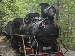 -五营红松林海景区