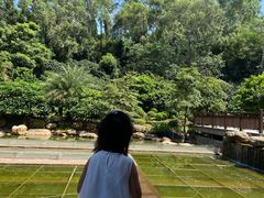 -南宁荔园维景国际酒店·荔园中餐厅