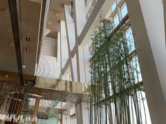 -上海柏悦酒店·世纪100牛排馆