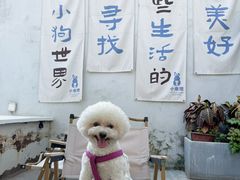 -小意思咖啡店(草桥店)