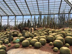 -南通洲际绿博园