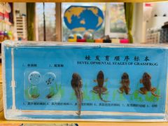 -绿橙国际幼儿园(汤泉逸墅校区)