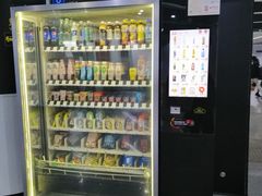 -东方体育中心(地铁站)