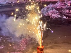 -果松木炭酸菜铜火锅·外婆参鸡汤