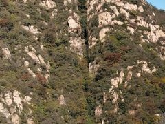 -大岭沟猕猴桃谷风景区
