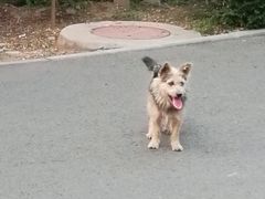-顺鑫绿色度假村