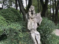 -上海醉白池公园