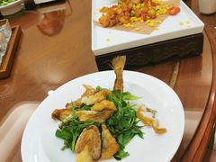 -鲁宴·鲁煨黄河生态大鲤鱼(月坛店)