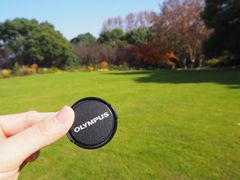 -上海共青森林公园