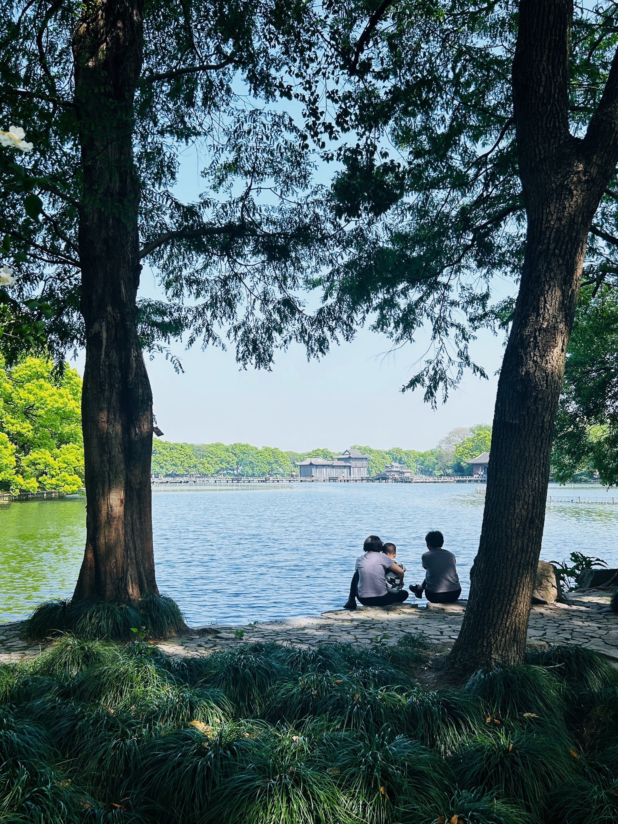 福井杭州图片