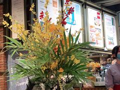 -玛格萝妮(汇智国际商业中心店)