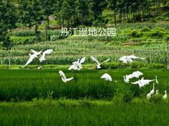 -丹江大观苑
