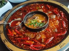 -一斗火锅·招财羊毛肚(北温泉九号店)