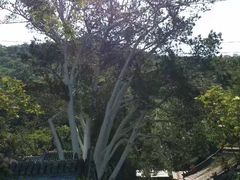 -妙峰山风景名胜区