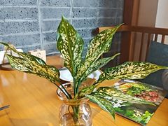 -丹江渔村(龙旗店)