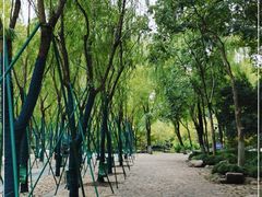 -柳浪闻莺公园