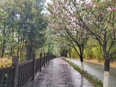 -仙海旅游度假区