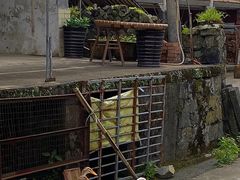 -泽雅景区