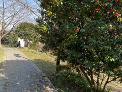 -苏州上方山国家森林公园