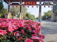 -广州莲花山旅游区