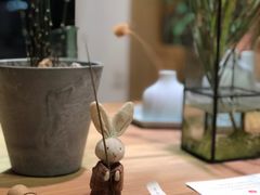 -柴务处·柴犬主题狗咖