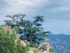 -圣莲山风景区