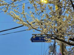-柱状节理带