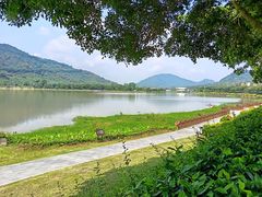 -风云岭森林公园