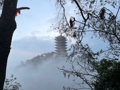 -缙云山景区