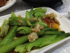 -鹅城