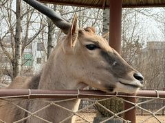 -大连森林动物园