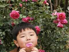 -人民公园(罗湖区)