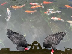 -百联奥特莱斯广场(长沙店)
