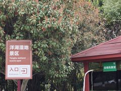 -洋湖国家湿地公园