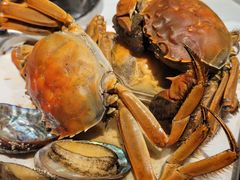 -领鲜活海鲜榴莲自助火锅(东门店)