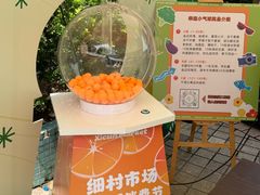 -细村农贸综合市场