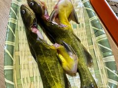 -铭记蛙小仙·活蛙畅享(CBD万达广场店)